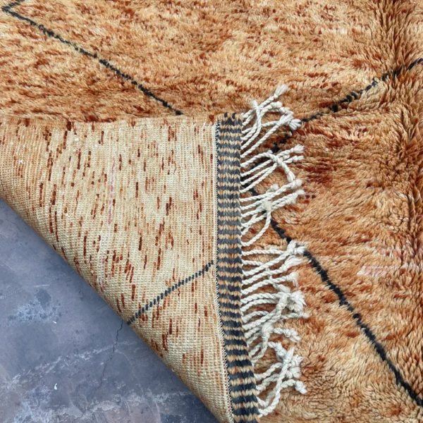Beni Mrirt Rug – Premium Diamond Camel Brown and Black Multicolor rug - Image 8