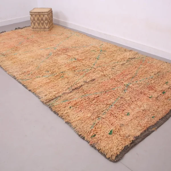 Vintage Style Beni mguild Rug – 5.9x11.8 ft Shag Geometric Brown Carpet - Image 4