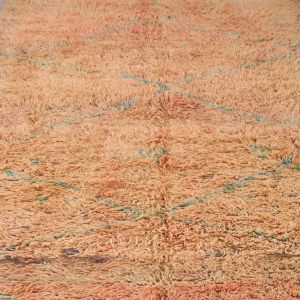 Vintage Style Beni mguild Rug – 5.9x11.8 ft Shag Geometric Brown Carpet - Image 5