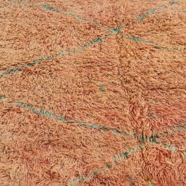 Vintage Style Beni mguild Rug – 5.9x11.8 ft Shag Geometric Brown Carpet - Image 8