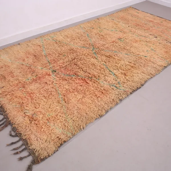 Vintage Style Beni mguild Rug – 5.9x11.8 ft Shag Geometric Brown Carpet - Image 14